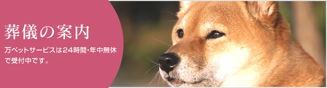 ペット火葬のご案内。万ペットサービスは24時間・年中無休で受付いたします。
