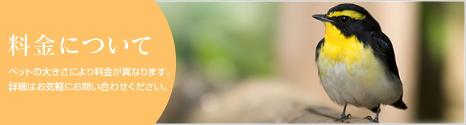 料金について。ペットの大きさにより料金が異なります。