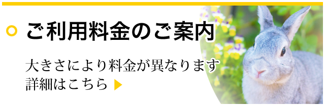 ご利用料金のご案内